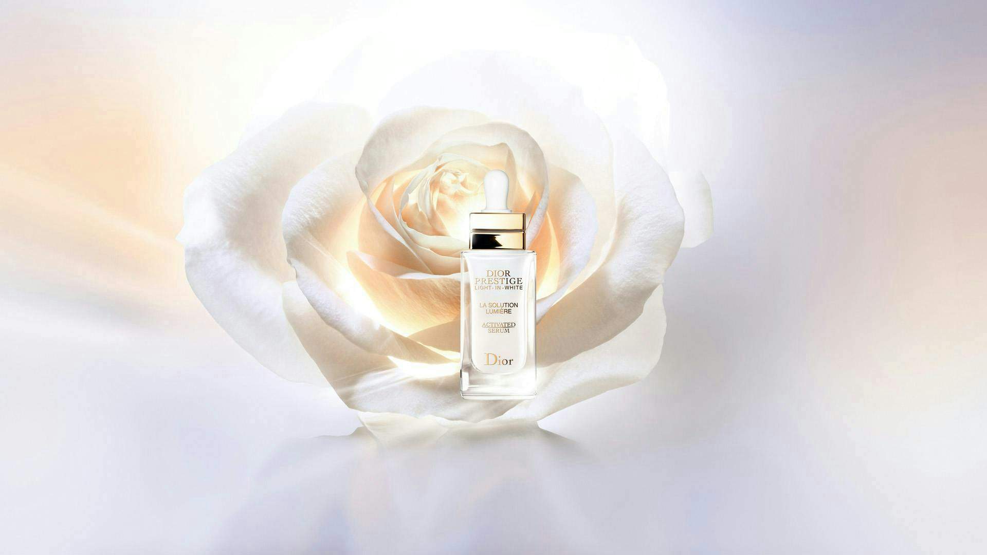 perfume bottle cosmetics rose plant flower blossom